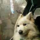 하람PC방 이미지