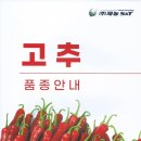 신흥종묘사 이미지