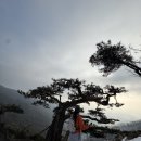 고개너머곰탕 | 서울 근교 초보 산행지 추천 경기 광주 태화산 등산 후기