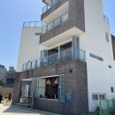 탄스비치 이미지