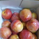 낙원농장3 이미지