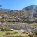 정금교 옆 이미지