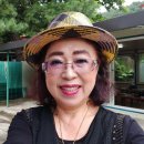 정든식당 Daum카페