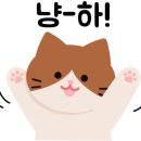 민담배