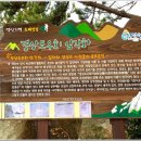 경상도우회기념회장 암각 이미지