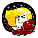 세종태권도체육관 이미지