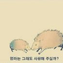 수준수학전문학원