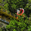 출렁다리(3) 이미지