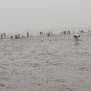 하트 조형물 이미지