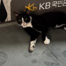 한림 생 약국 | 방학 넘 짧은데 더 주시면 안되나요ㅠㅠ??