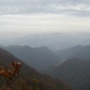 장성공원1 이미지