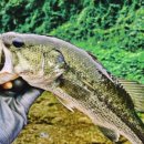 왕숙천 자전거도로6 이미지