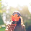 수사랑병원 이미지