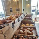 보아도 | 부산 기장 바다뷰 대형카페 보아메르 본점 내돈내산 후기