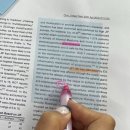 블루비치B 이미지