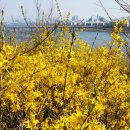 달맞이근린공원 이미지