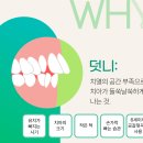 와이치과의원 이미지