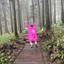 CU 진천진달래공원점 | 한라산 등반 비오는날 등산 초보 후기 (성판악코스 예약, 주차장, 코스, 소요시간,준비물,라면)