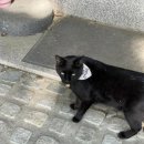 행복식당 | 있는 절 봉인사 템플스테이 휴식형 1박2일 후기 (주차정보, 지장전 숙소 후기, 가격, 일정, 준비물)