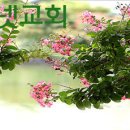 예수님의 친인척 계보 이미지