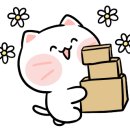 폴 바셋 롯데몰 수지점
