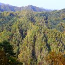 수산리-18 이미지