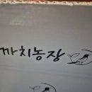 까치말진돗개농장 | “까치농장 김장마늘 실물 후기! 알 크기부터 다르다”