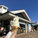 장촌마을 | 나고야 시라카와고와 삿포로 비에이 둘 다 가보고 남기는 비교 후기..(여행 타입별 추천)