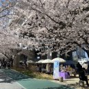 아산시노인종합복지관 | 아산시노인종합복지관, 세대가 어우러진 ‘모두의 봄, 같이 봄’ 성료