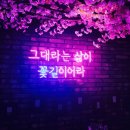 꽃길포차 - 마포구 양화로16길 18 | 꽃길포차