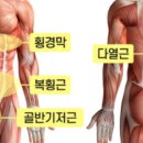 신세계 스포렉스 이미지