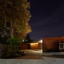 제주토끼 이미지