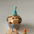 디디디아이 이미지