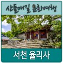율리사 이미지