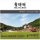 솔다리 이미지