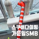 [스쿠버다이빙 가든일smb]귀여운 걸 찾는다면 추천