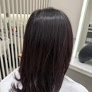 가이아헤어 - 관악구 행운길 8 | 광주 머리잘하는 곳 추천｜가이아헤어 엘씨타워점 체리레드 염색 후기