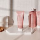 프롬안스