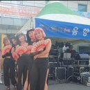 #마산어시장축제 #전어축제 #jm댄스강사시범단 이미지