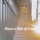 트로스트(TROST)