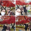 충청북도장애인종합복지관 이미지
