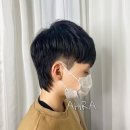 아라마트