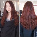 헤어컬러