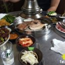 꿀꿀이PC 이미지