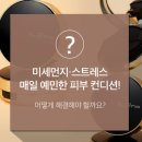 2022WAPA갈라쇼 벨리노모피패션쇼에서 브에노 메디텍 인텐시브피팅쿠션을 선물받았습니다