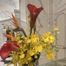 821 | 에어 마카오 항공 비즈니스 좌석 후기 기내식 NX821 인천 마카오