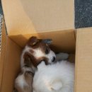 상덕로 이미지