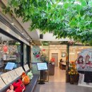 순미네 행복게장 | 동대문역 근처 맛집 외국인들이 줄서는 간장게장 순미네행복게장