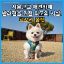 르꼬리카페 이미지