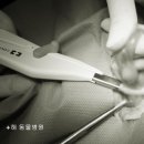 진보동물병원 이미지